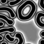00151.jpg