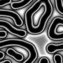 00208.jpg