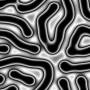 00252.jpg