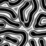 00257.jpg