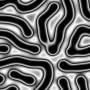 00262.jpg
