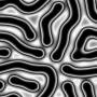 00285.jpg