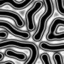 00287.jpg