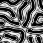 00293.jpg