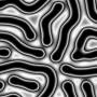 00296.jpg